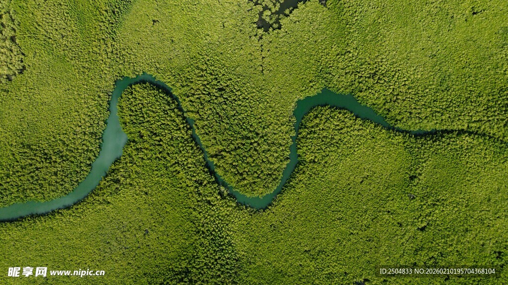 蜿蜒绿原中的蓝色河流