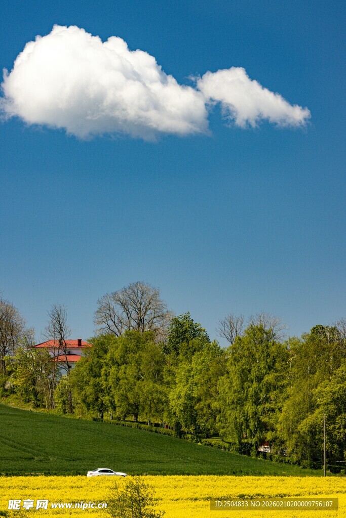田园美景 蓝天白云下的绿野