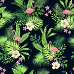 火烈鸟花卉热带植物