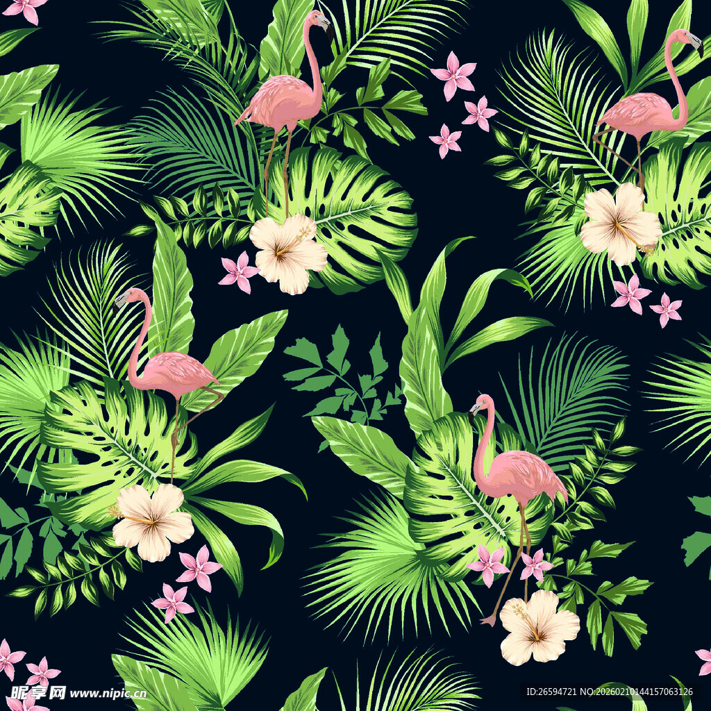 火烈鸟花卉热带植物