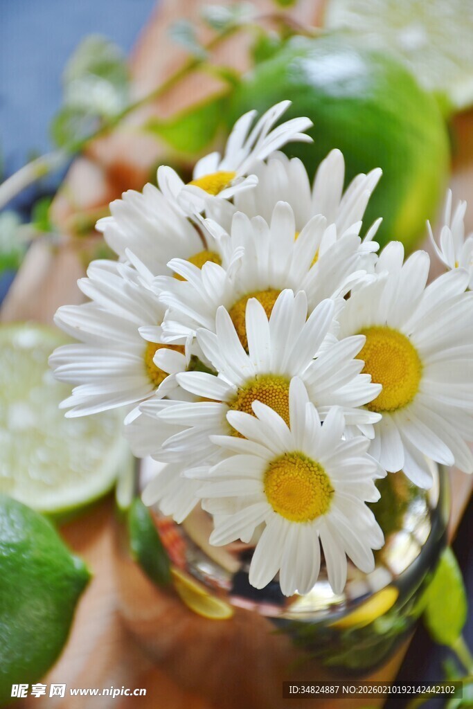 玻璃杯中盛放的清新雏菊