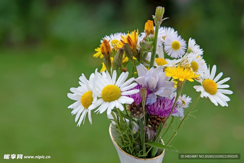 花瓶中的多彩菊花