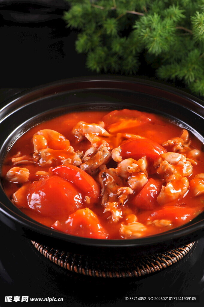 番茄炖牛腩美食诱人画面