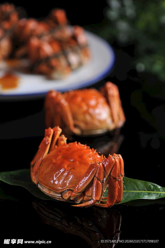 美味大闸蟹尽显诱人色泽