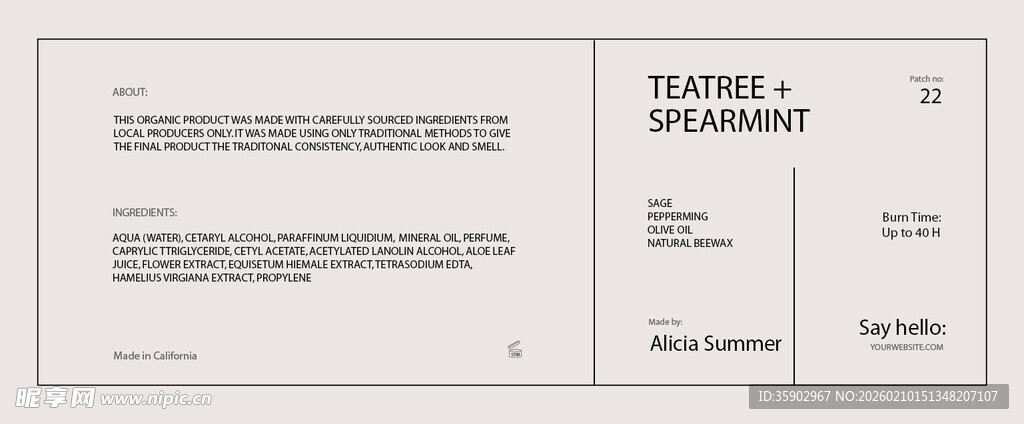 商务风格声明文件模板