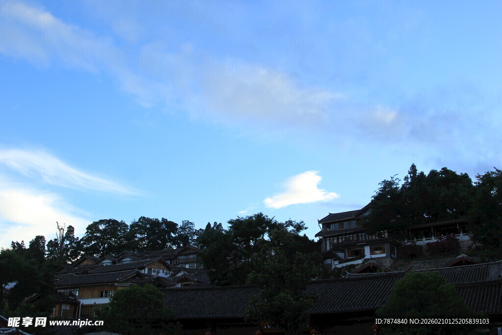 蓝天绿树间的屋顶景致