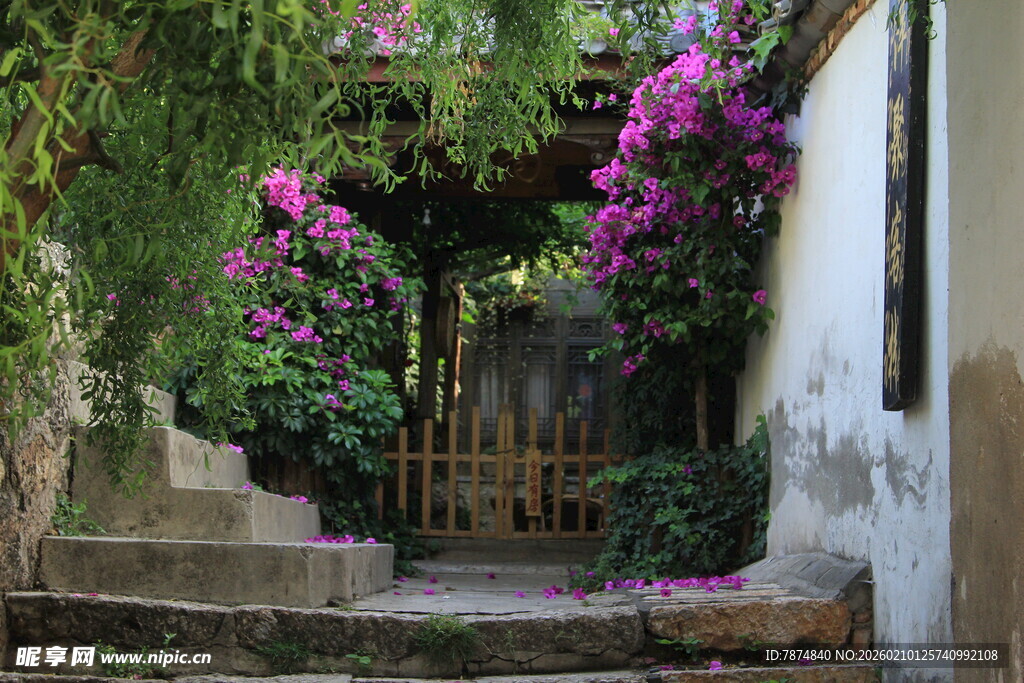 繁花簇拥的静谧小院角落