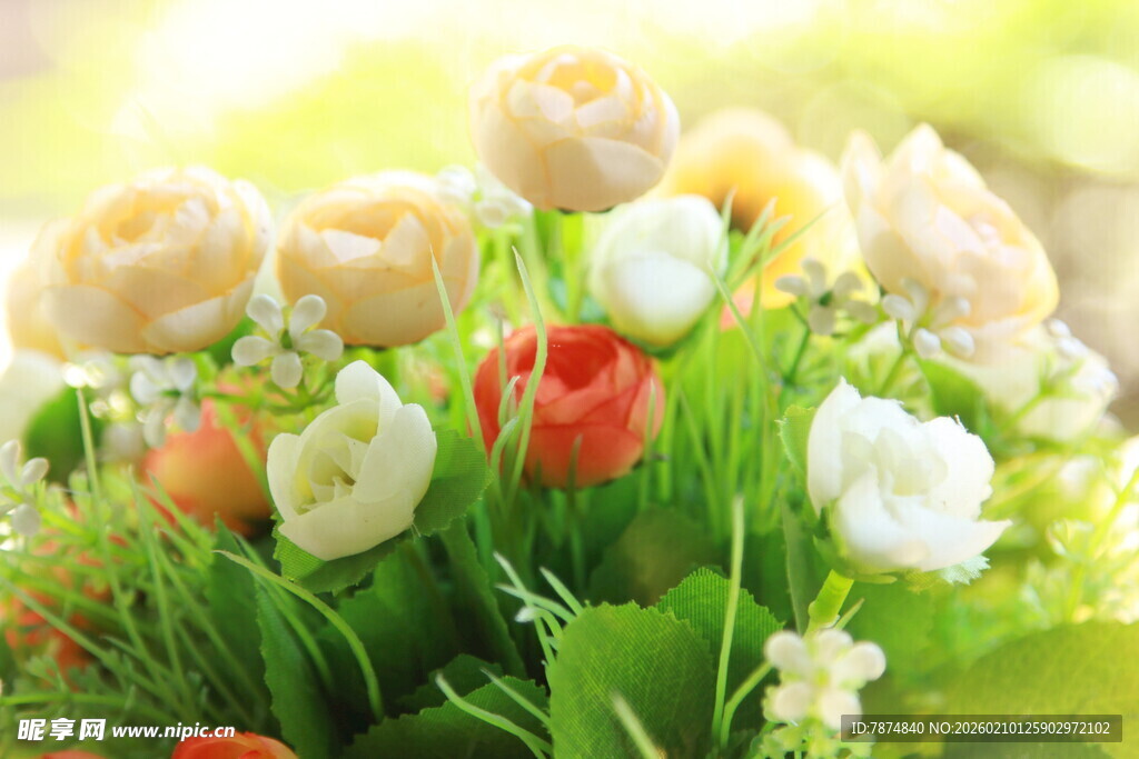 多彩花卉绽放绿意间