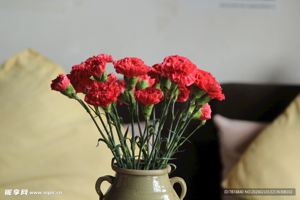 花瓶中盛放的鲜艳红康乃馨