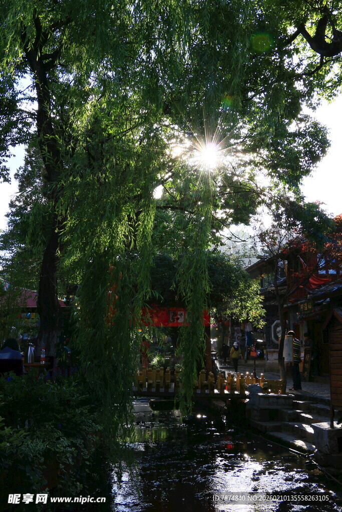 阳光洒落的静谧园林景致