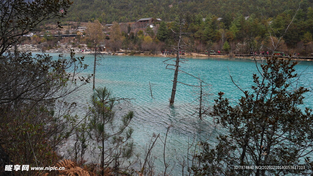 蓝湖风光 林木环绕的美景