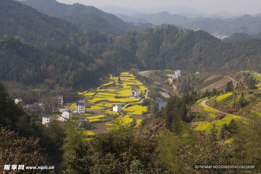 山间村落油菜花田美景