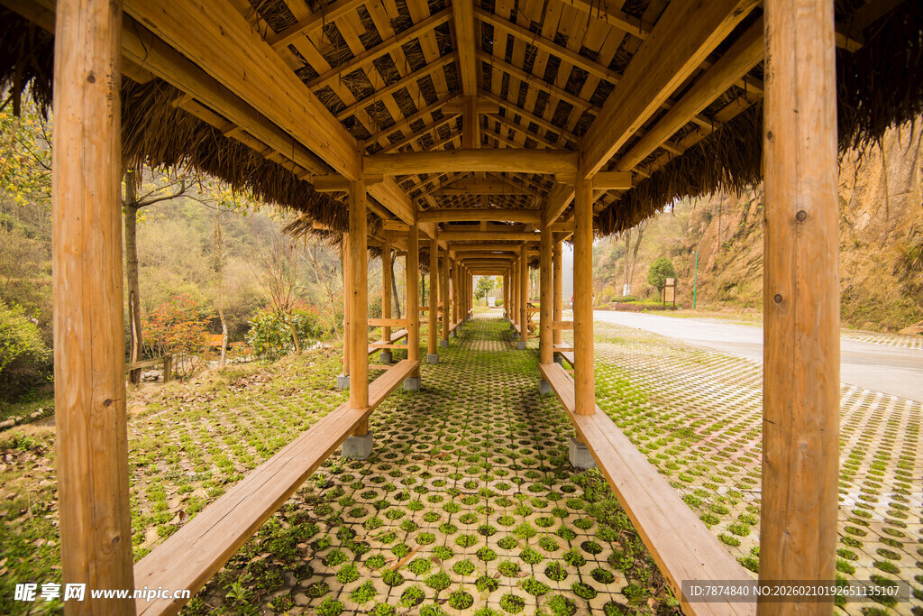 婺源木质长廊下的整齐绿植