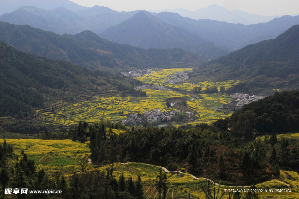 婺源山间油菜花海美丽风光