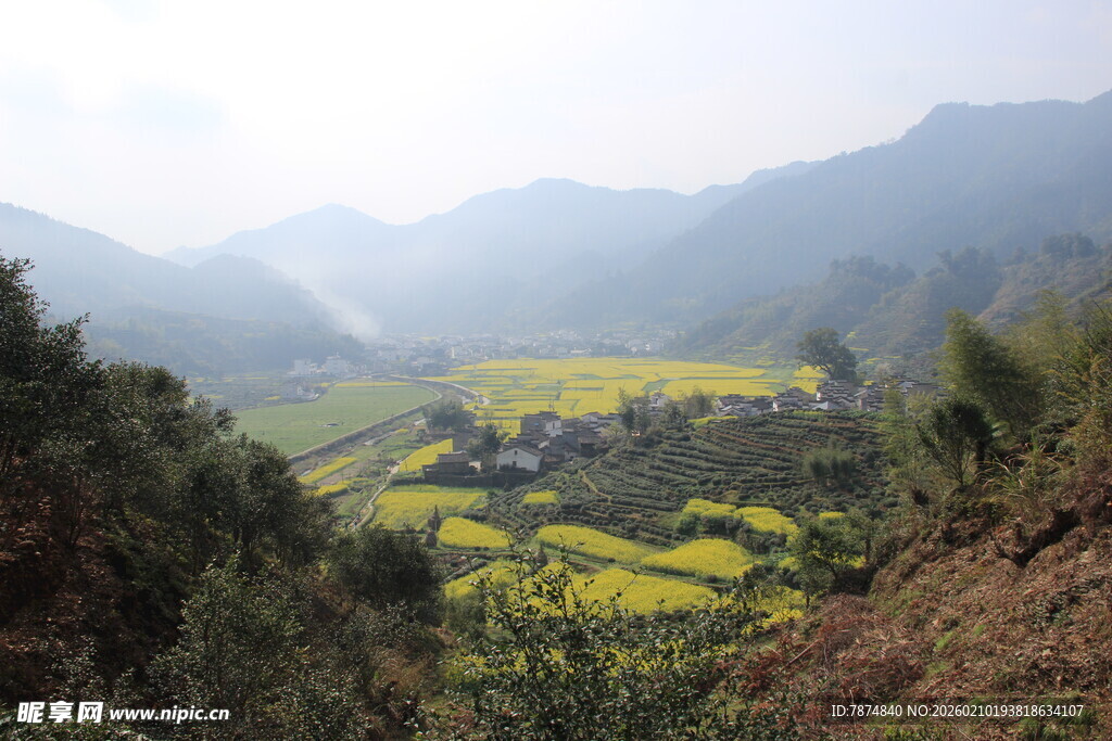 婺源山间油菜田 春日美景
