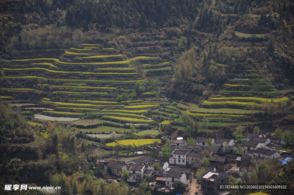 婺源山间梯田村落美景