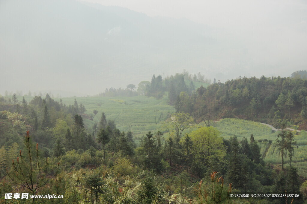 婺源山间绿野风光