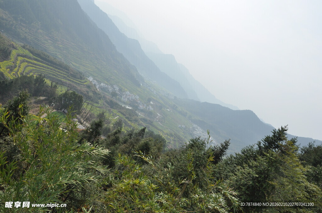 婺源山间葱郁植被与朦胧远山