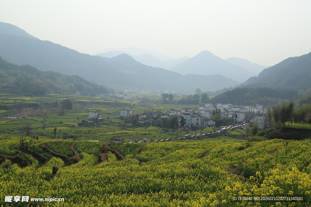 婺源春日山间油菜花田美景