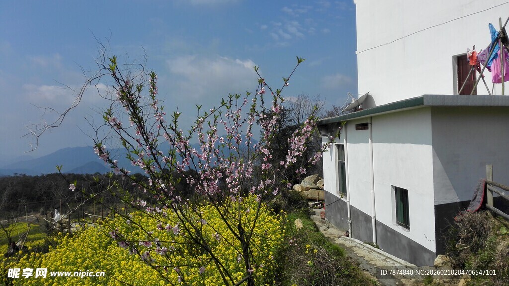 婺源乡村景致中的房屋与繁花