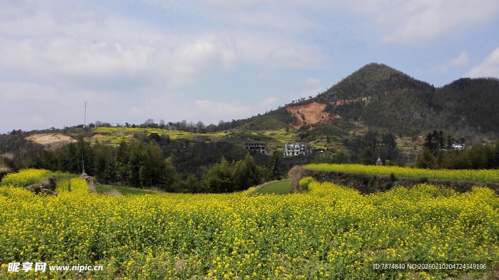 婺源春日油菜花海与远山