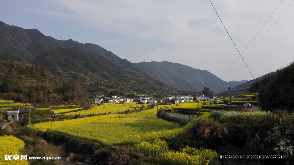 婺源春日山间油菜花田美景