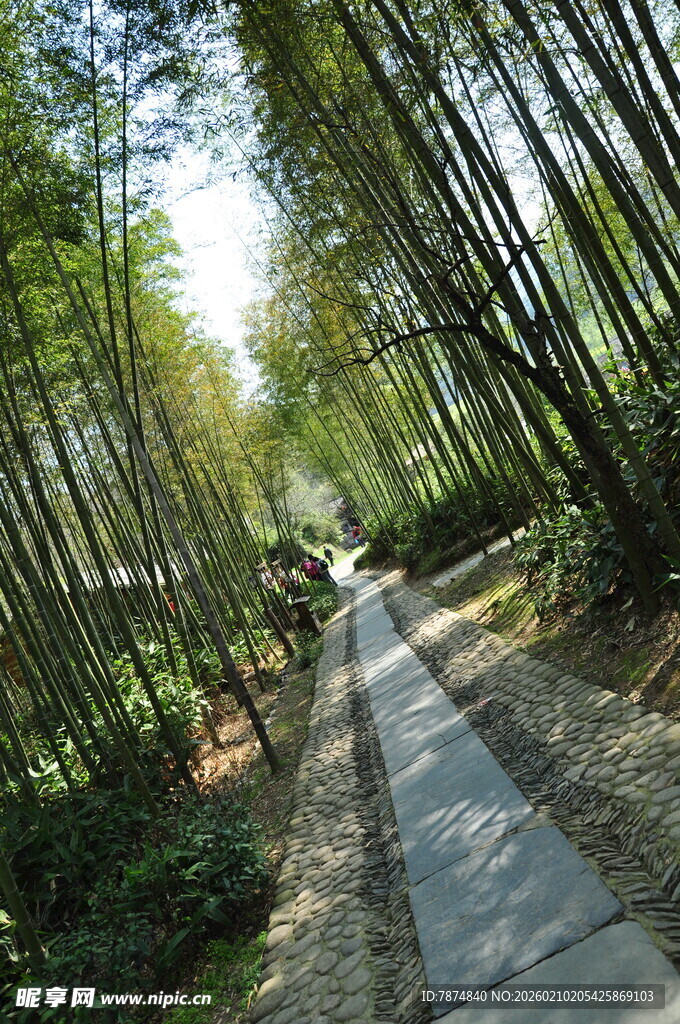 婺源竹林间的幽静小道