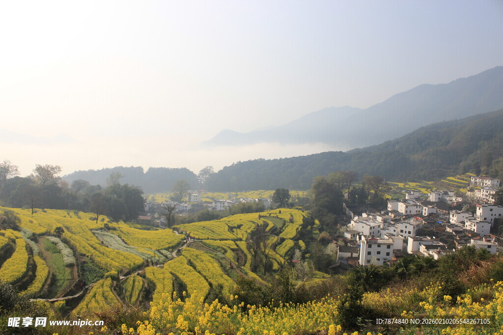 婺源山间油菜梯田与村落美景