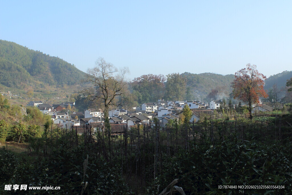 婺源乡村秋日风景
