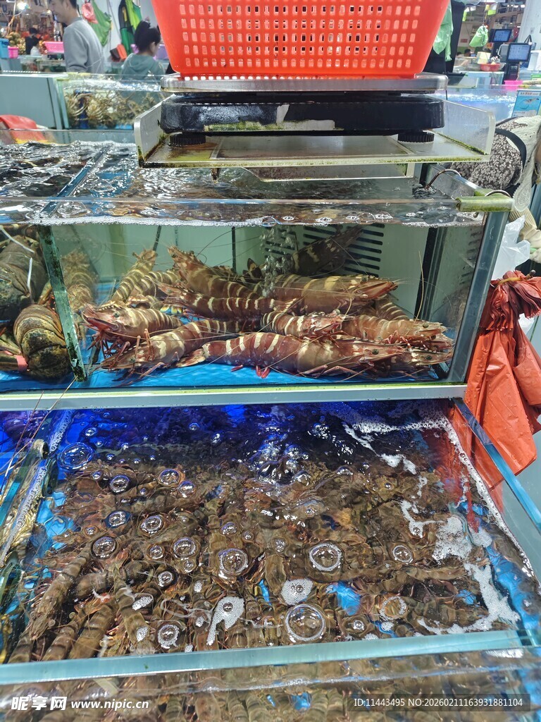 海鲜展示柜中的多样海鲜