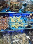 海鲜市场丰富多样的水产