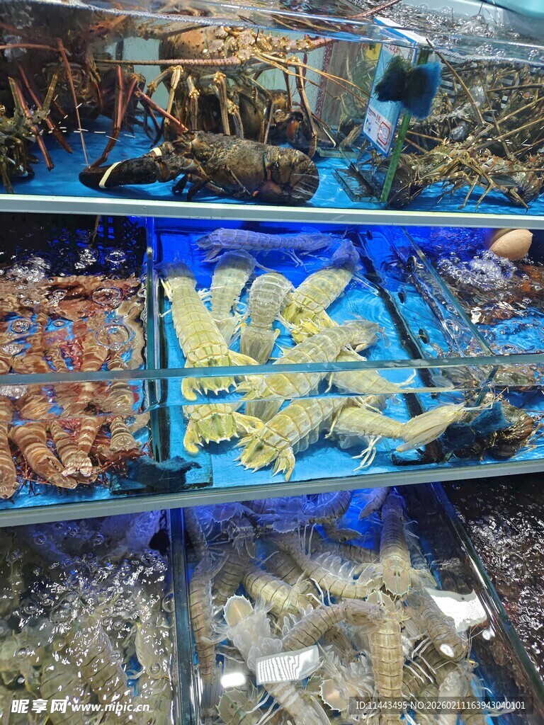 海鲜市场丰富多样的水产
