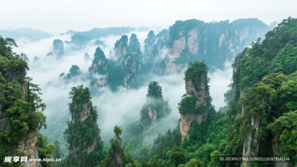 张家界湖南奇峰异石云雾峡谷