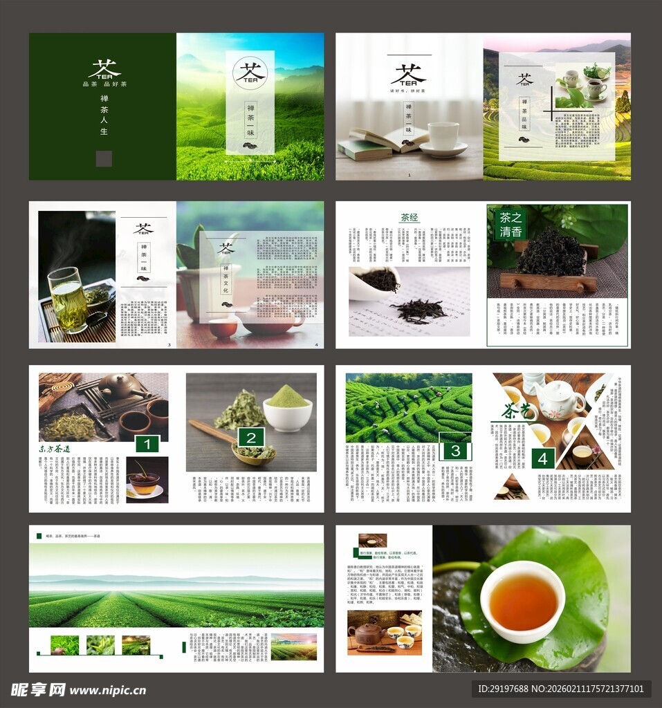 茶叶画册