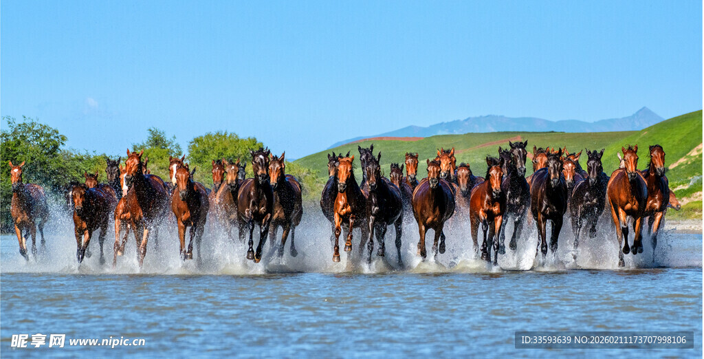 群马奔腾于水面