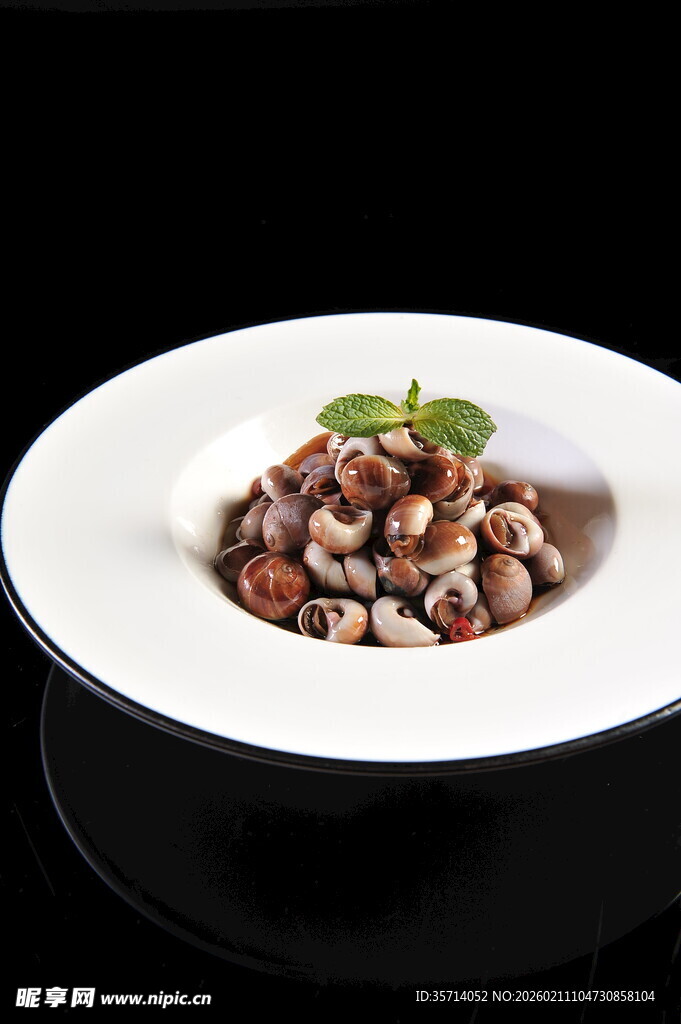 美味香螺  清新点缀