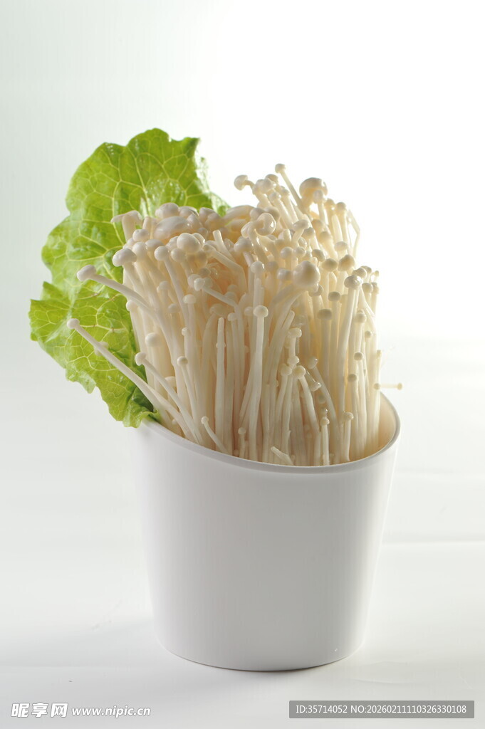 白色容器中的新鲜金针菇