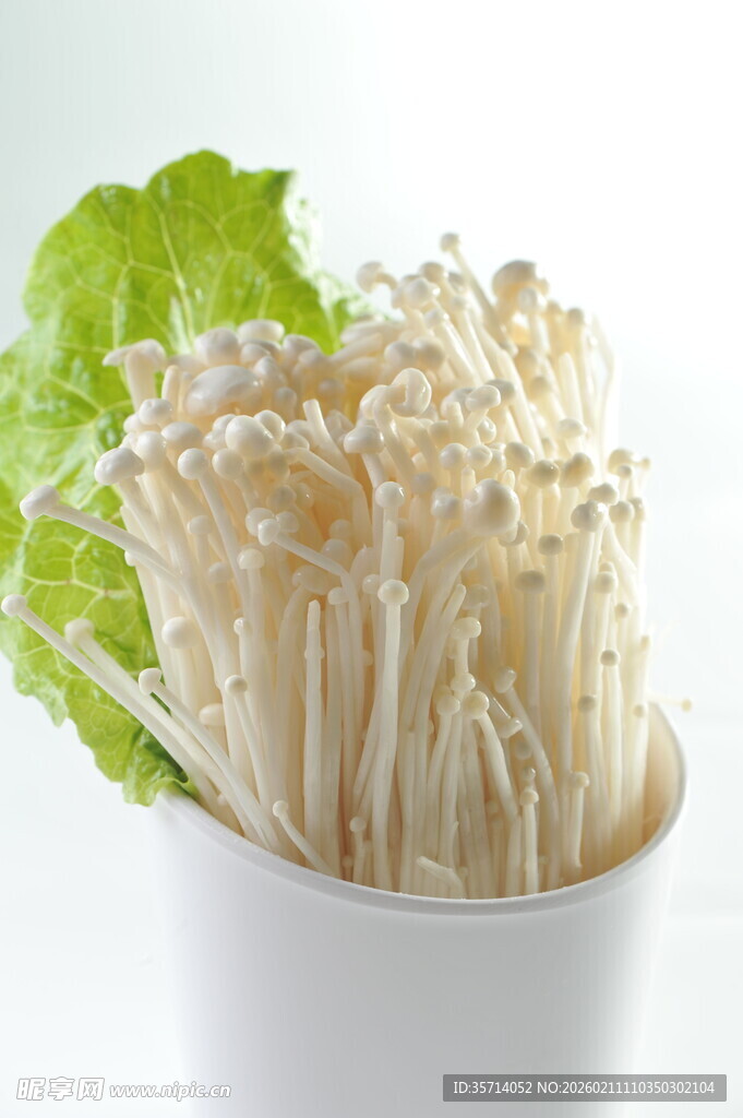 白色容器中的新鲜金针菇