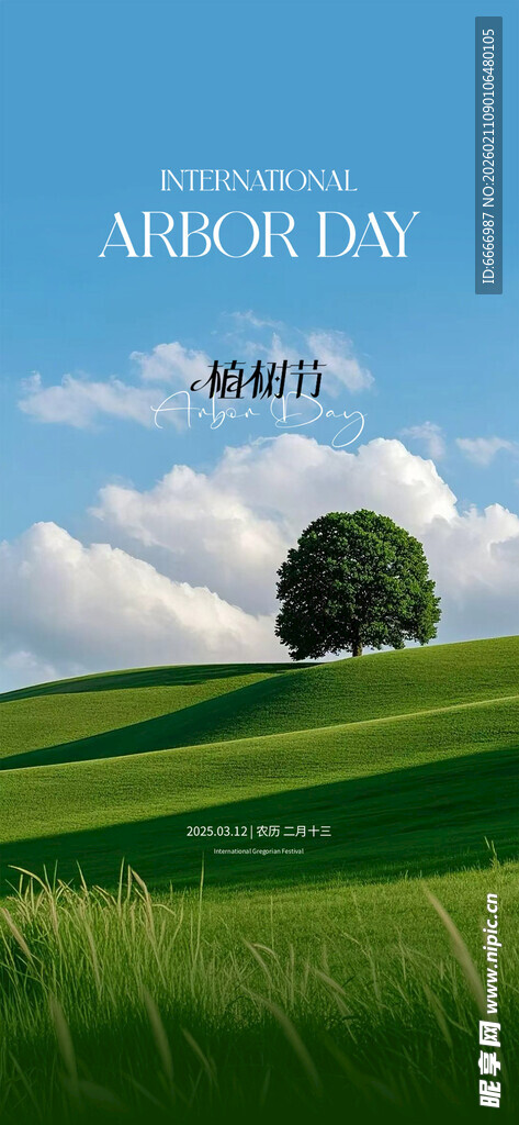 植树节