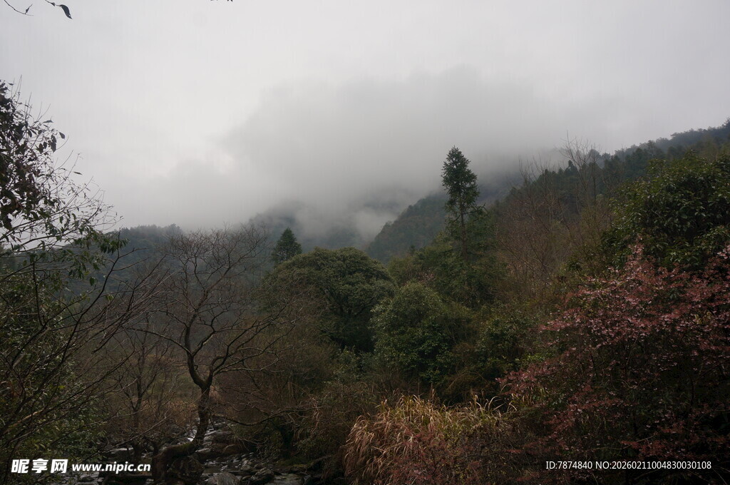 婺源云雾缭绕的山林美景