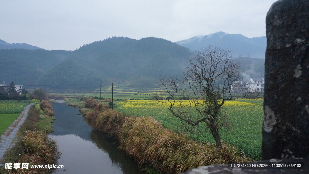 婺源乡村河畔田园风光美景
