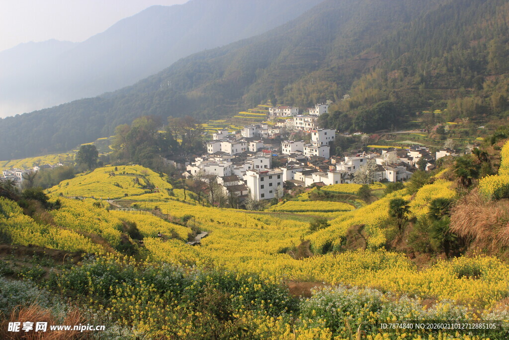 婺源山间村落油菜花田美景