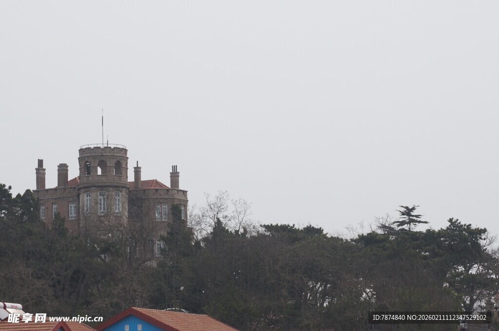 山顶城堡隐于树林间