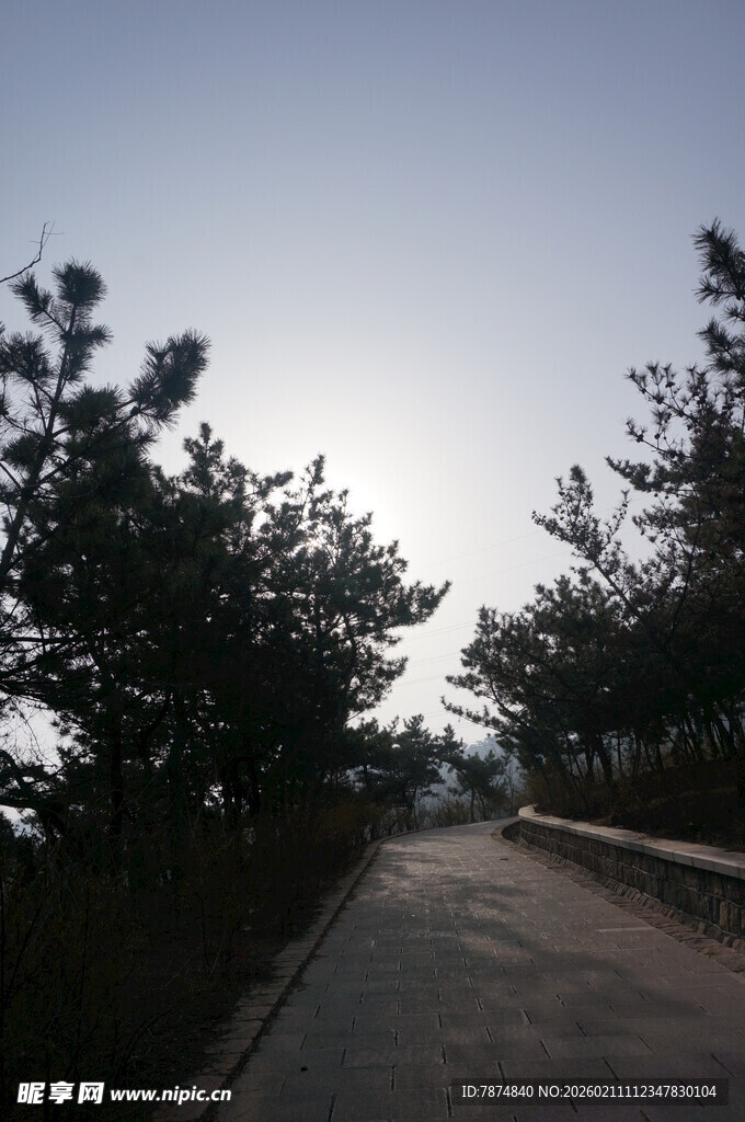 林间小道 静谧自然之景