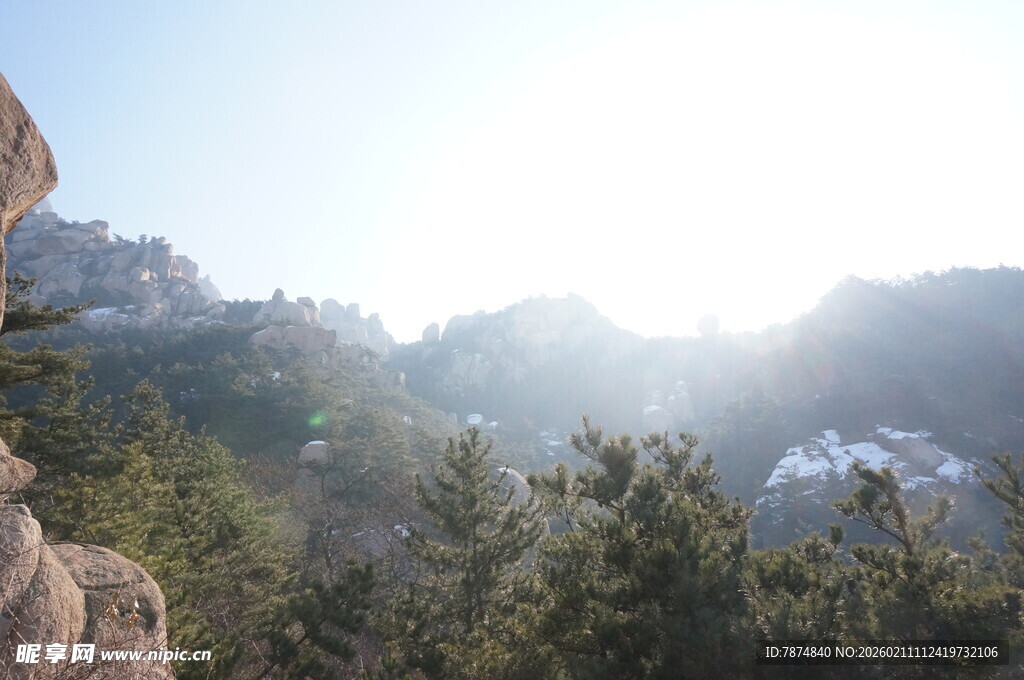 山间晨光中的葱郁林木