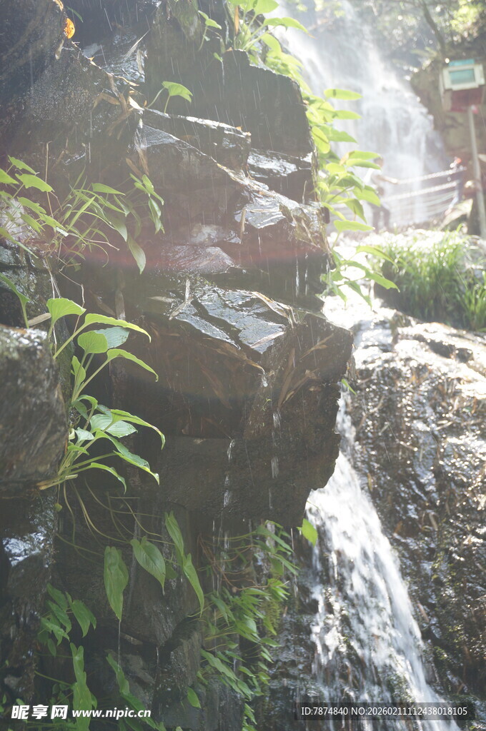 山间溪流旁的绿植与岩石