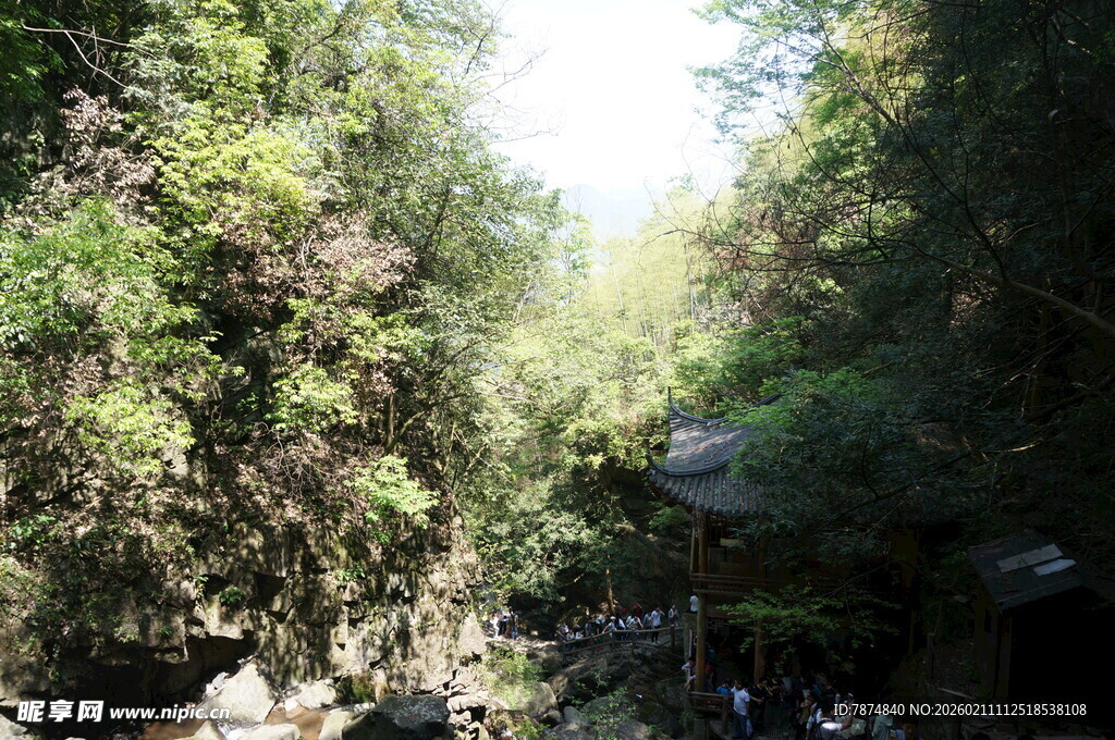 山林间的静谧自然景致