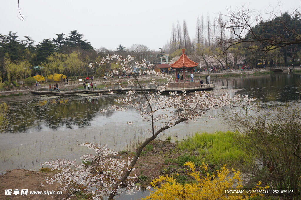 湖畔春日园林景致
