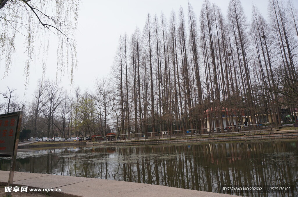 湖畔垂柳下的宁静景致