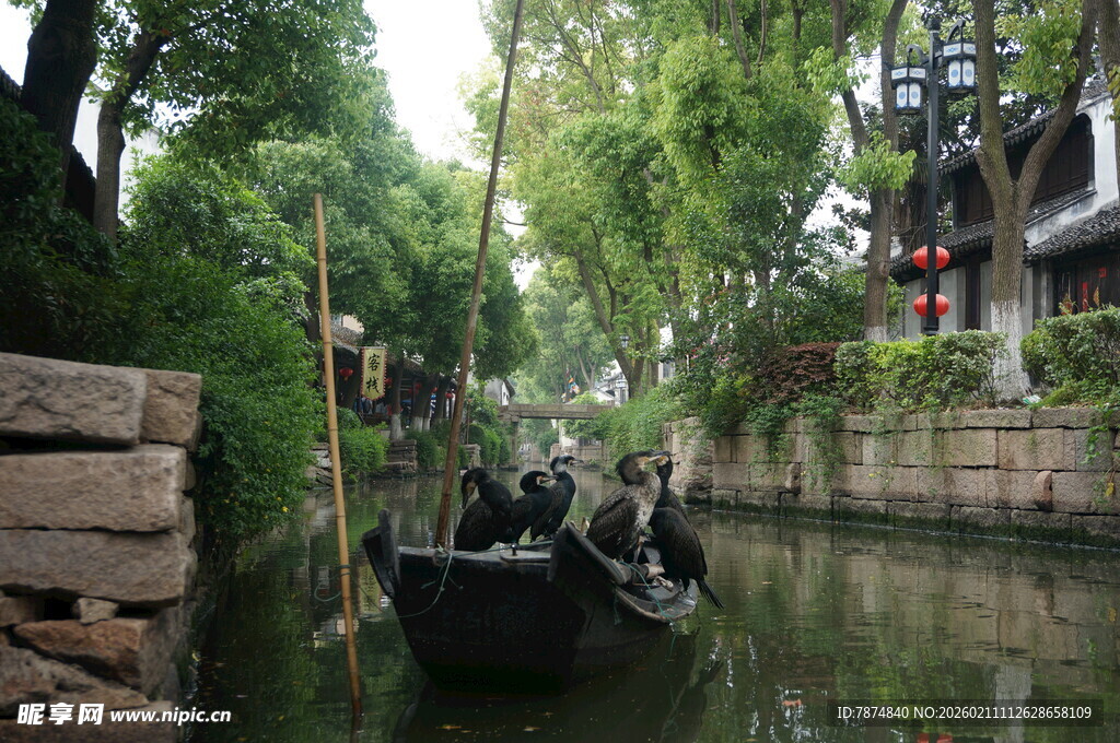 水乡小船穿行于绿荫河道